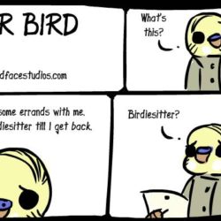 birdiesitting