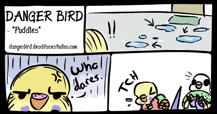 White Bird is either shocked by the sneeze or the sudden disturbance in the force from Boss Bird. Or both.